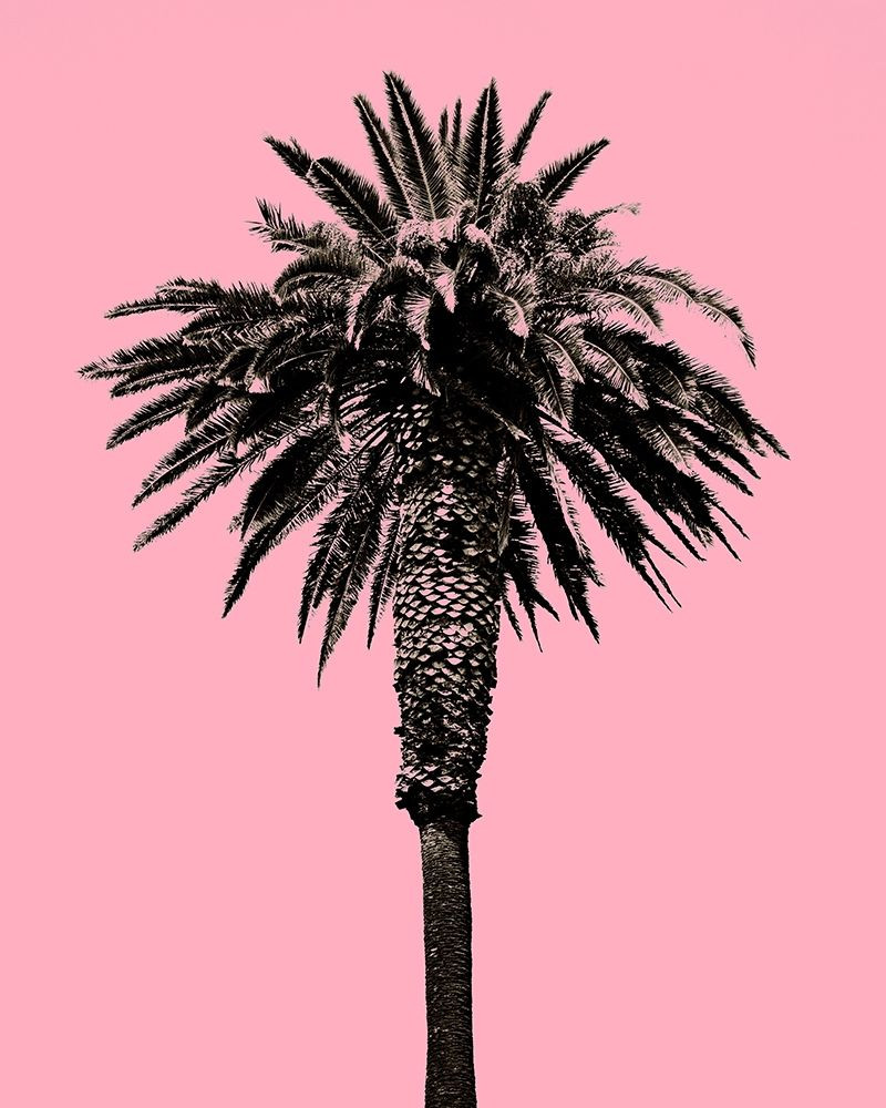 palm print poster