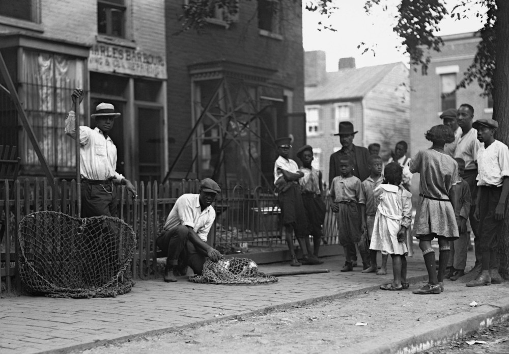 African Americans Working As Dog Catchers In Washington History Item