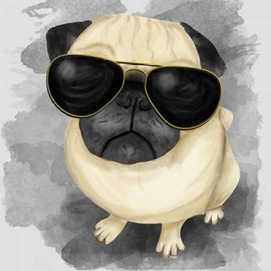 pug sunglasses