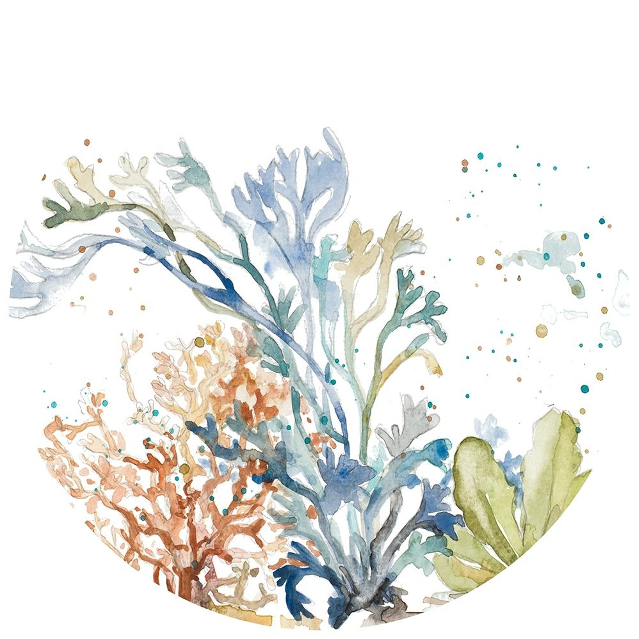 Edible Seaweed Drawing Clip Art - Seagrass - Aquatic Plants Transparent PNG