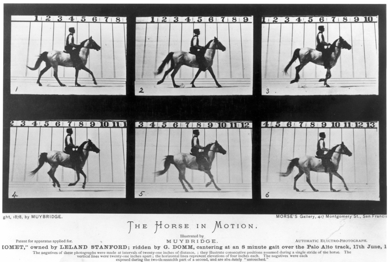 Horse　In　Of　By　With　1878.　Of　In　Sponsored　A　Leland　Palo　Motion　Cameras　Racetrack,　At　Motion,　Made　Study,　Horse　Study　Alto　Was　Muybridge'S　/Neadward　California;　Stanford,　The　1878　A　Photographic　Row