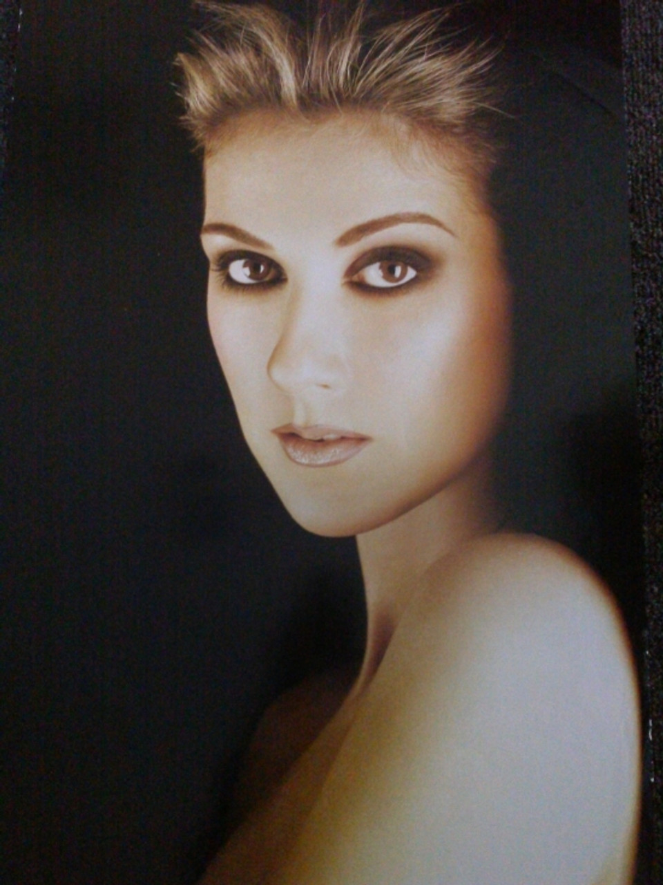 celine dion poster