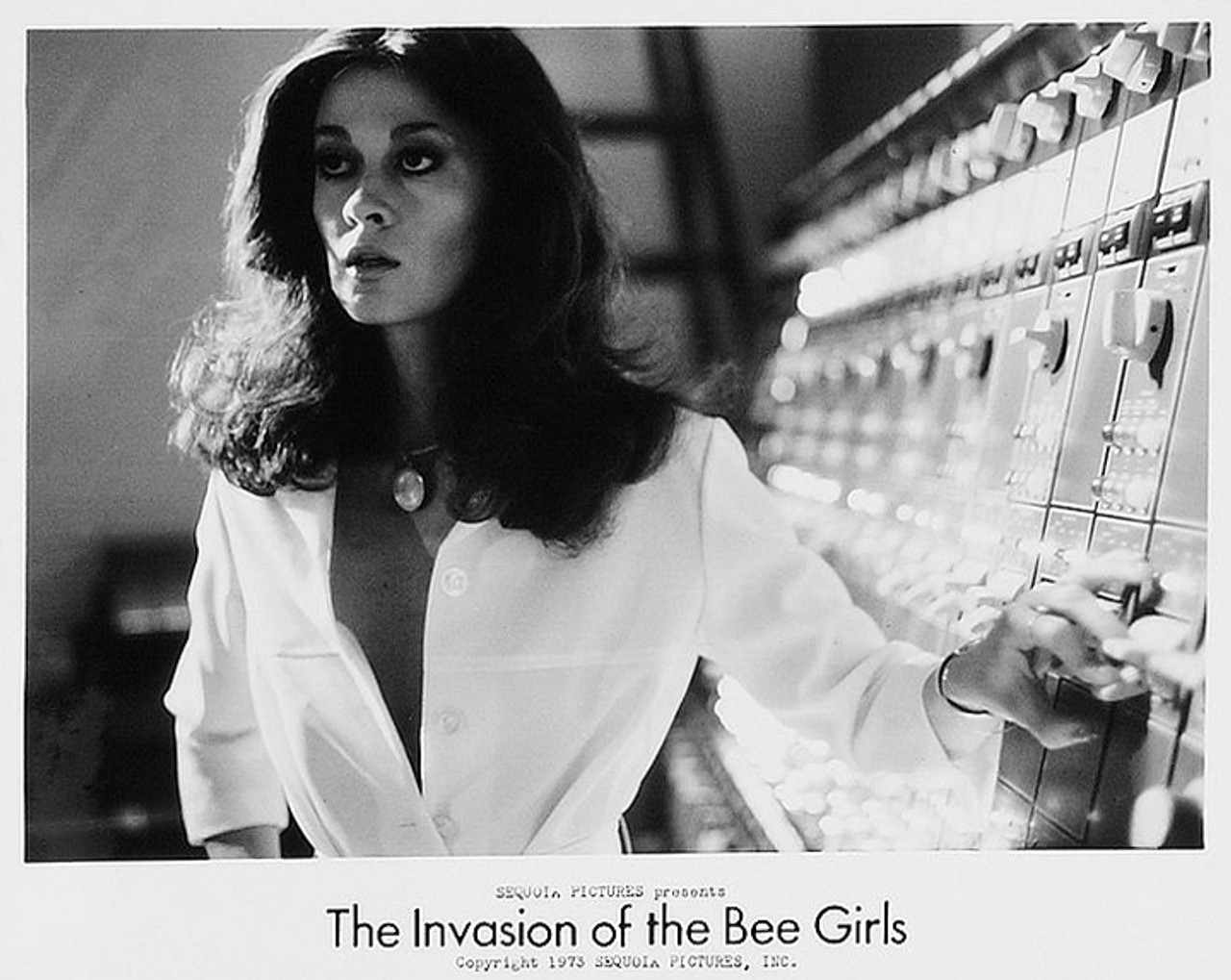 invasion of the bee girls poster