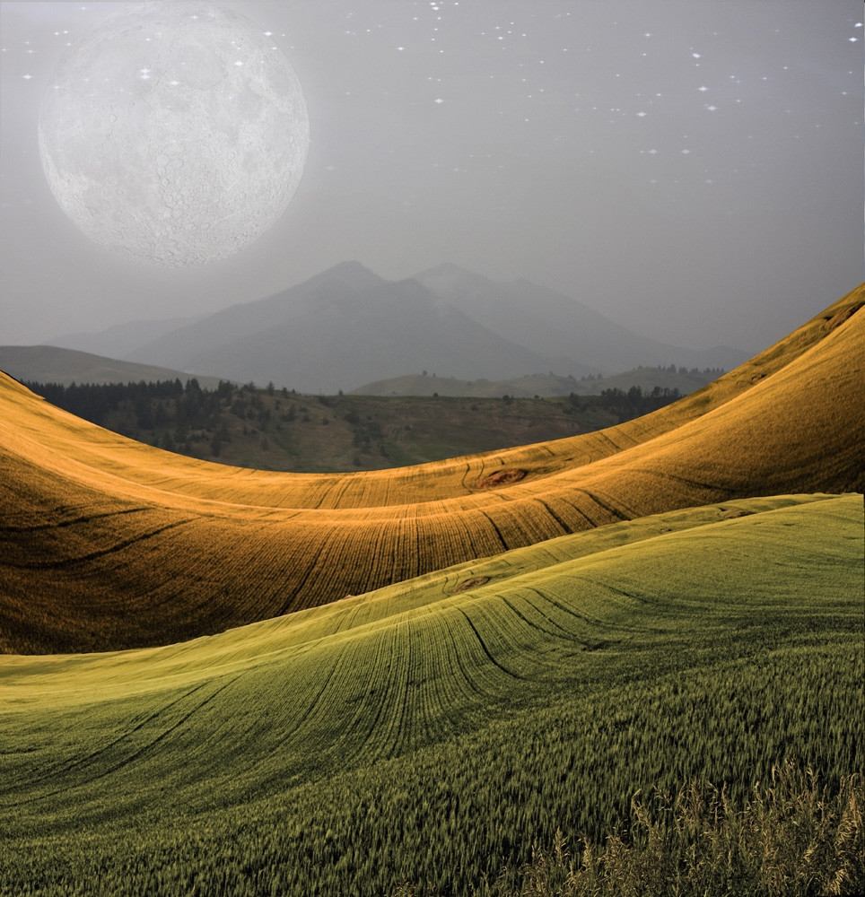 芸術写真 Nature Photograph Full Moon Art Print Nature Photograph Full Moon Art Print 【公式通販】