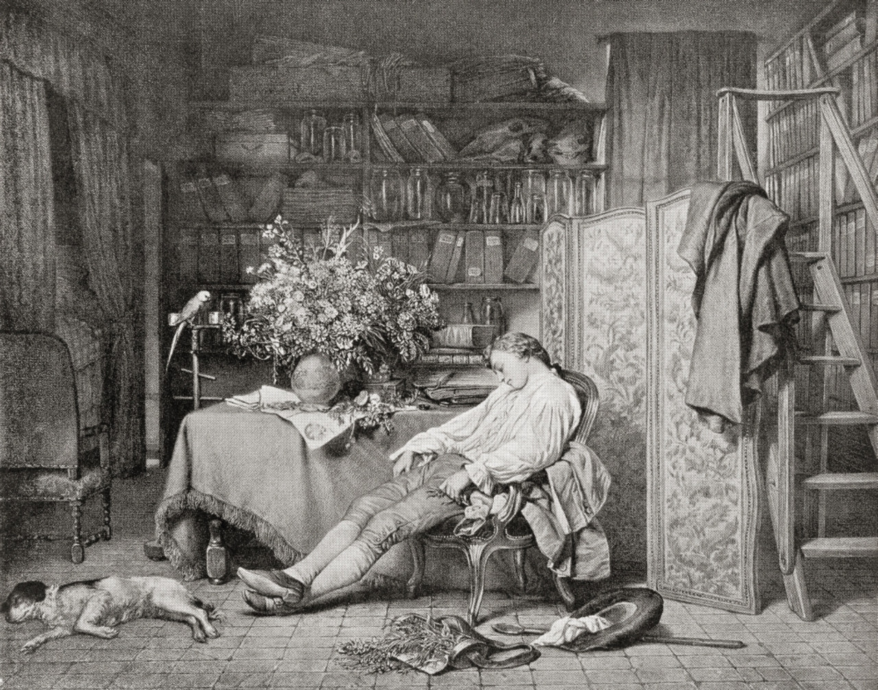 Linnaeus home asleep a chair after returning from one his