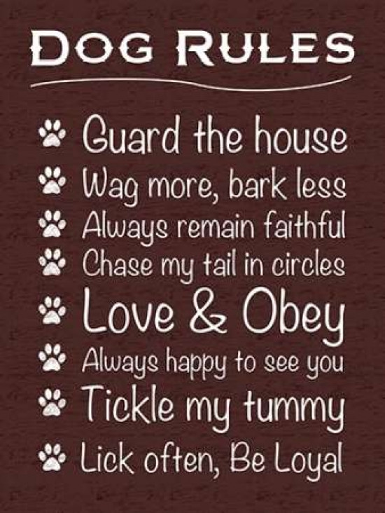Dog Rules Poster Print by Lauren Gibbons - Item # VARPDXGLRC046B ...