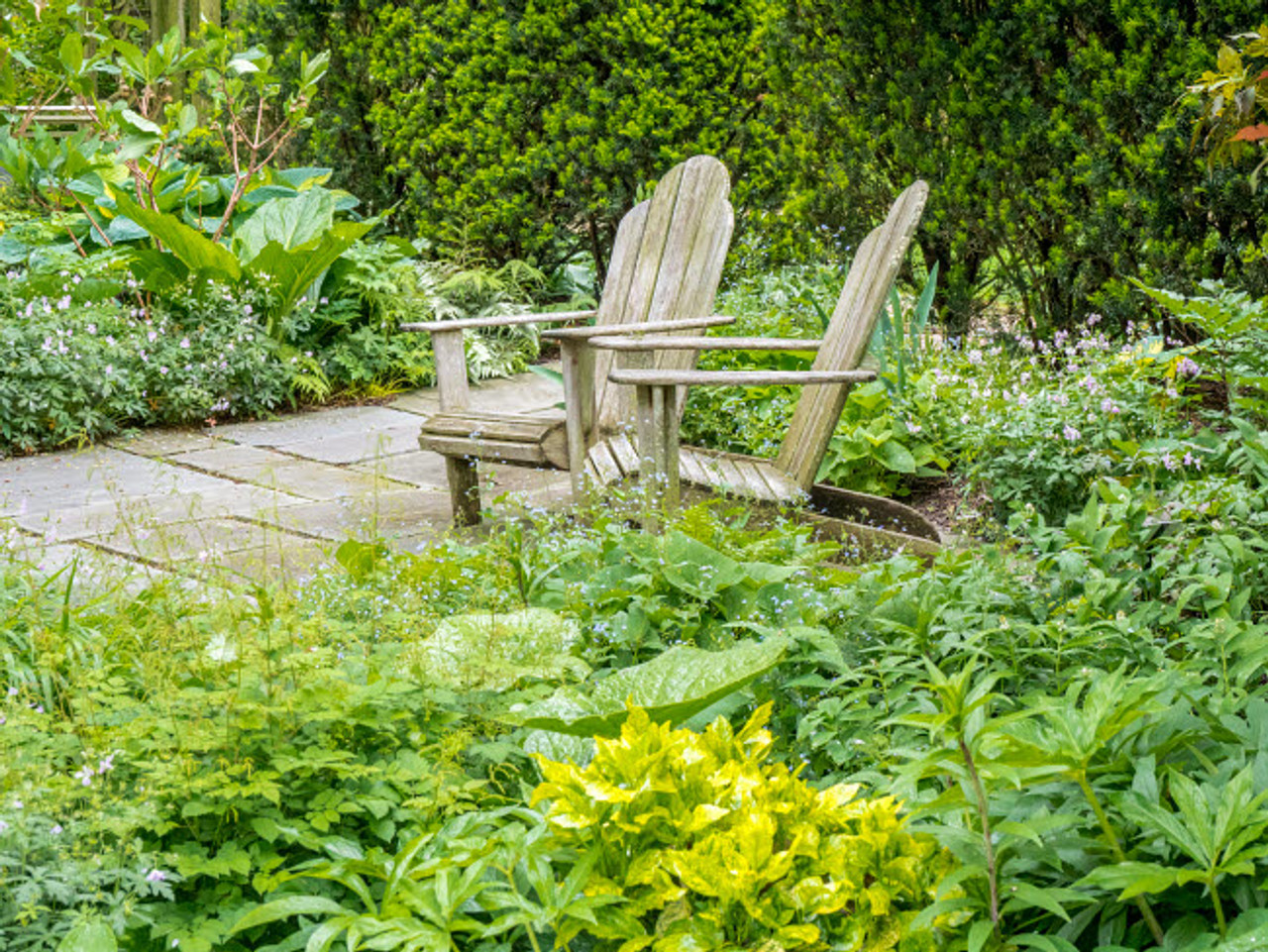 Adirondack Chairs On A Patio Of A Garden Poster Print By Julie