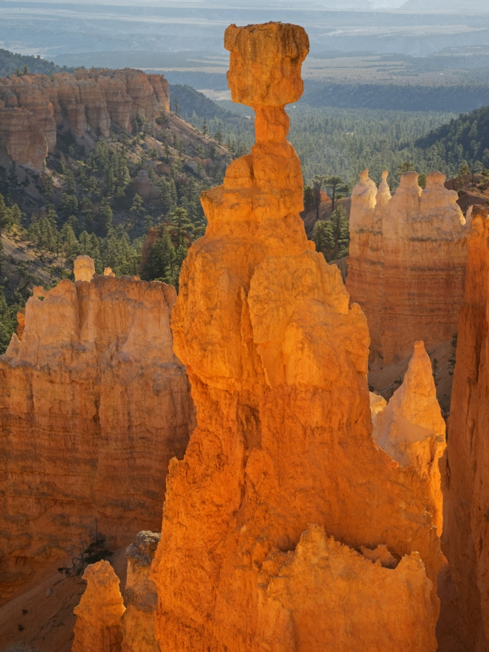 Utah, Bryce Canyon National Park. Thor's Hammer Poster Print by