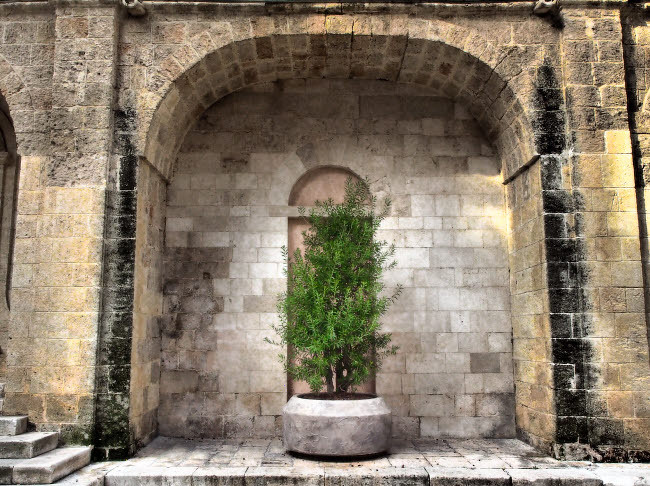 Italy, Bari, Apulia, Monopoli Arch with potted plants in the courtyard near  the Basilica of the Madonna della Madia Poster Print by Julie Eggers (24 x  18) # EU16JEG0711 - Posterazzi