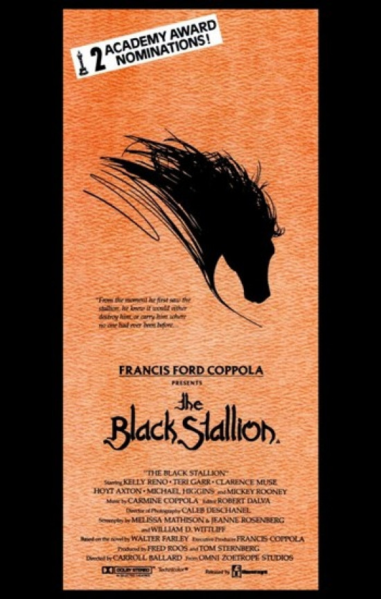 Black Stallion Movie Poster (11 x 17) - Item # MOV195897 - Posterazzi