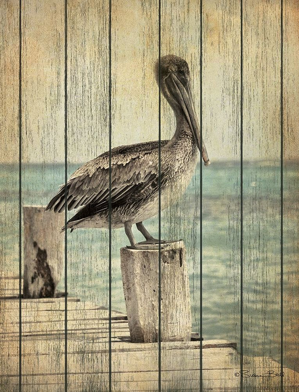 Vintage Pelican I Poster Print by Susan Ball # SB684