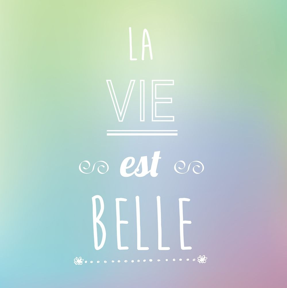 La vie est belle Poster Print by Braun Studio Braun Studio A631