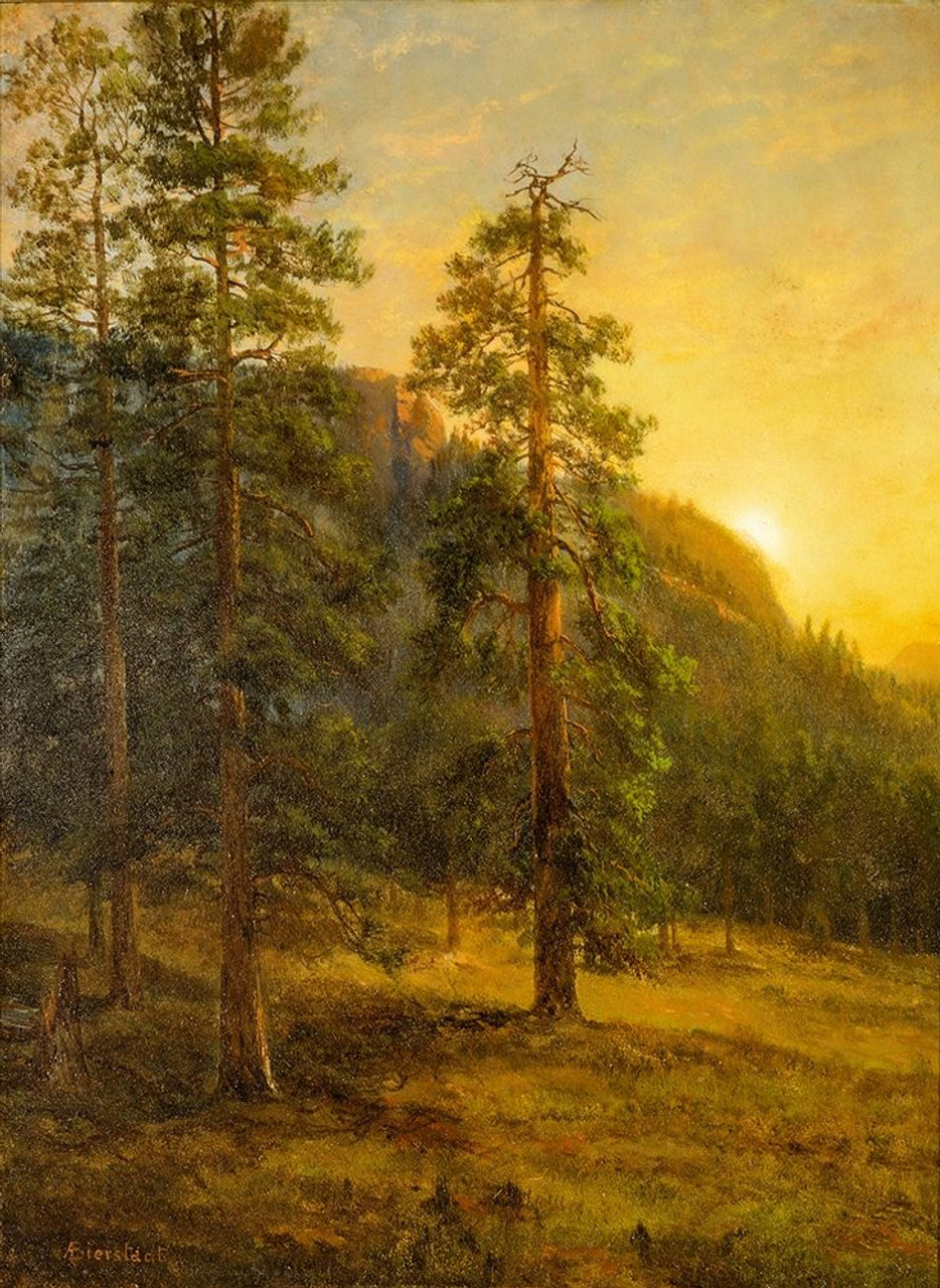 California Redwoods Poster Print by Albert Bierstadt # 55965 - Posterazzi