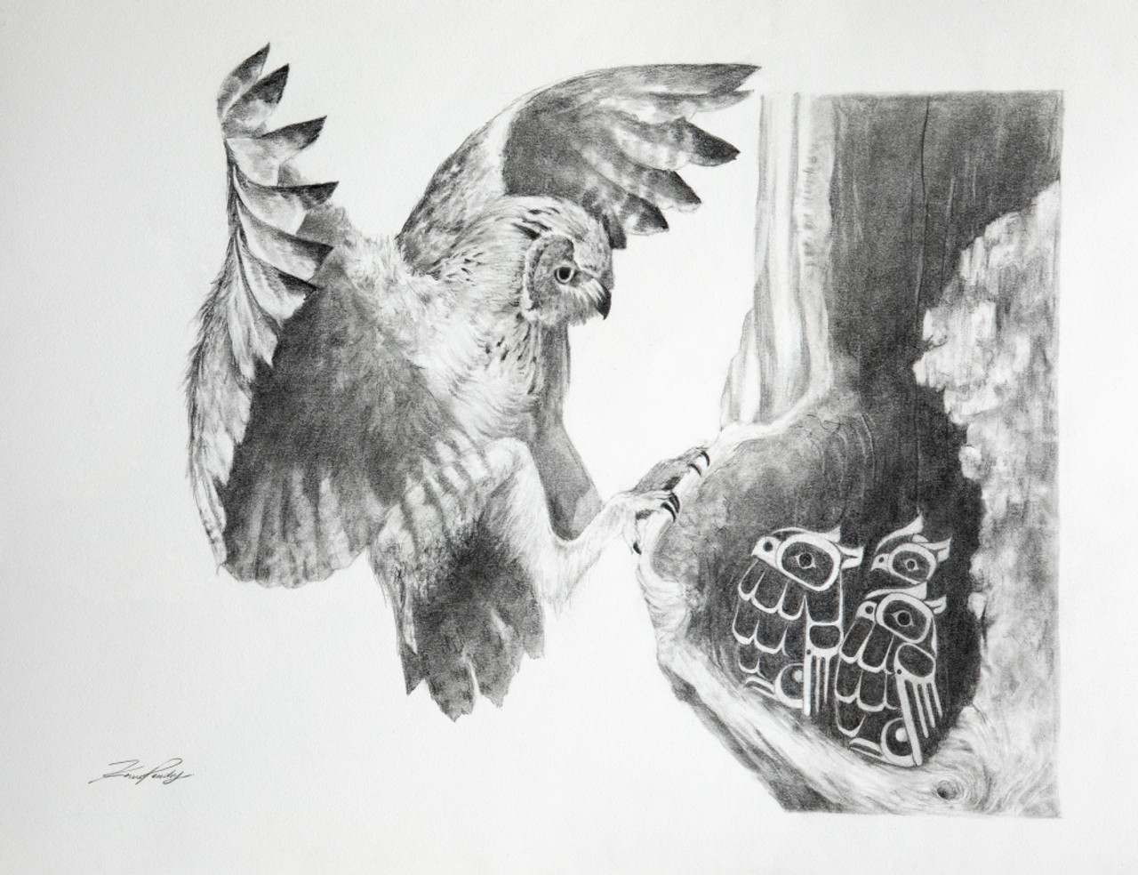 awesome owl drawing