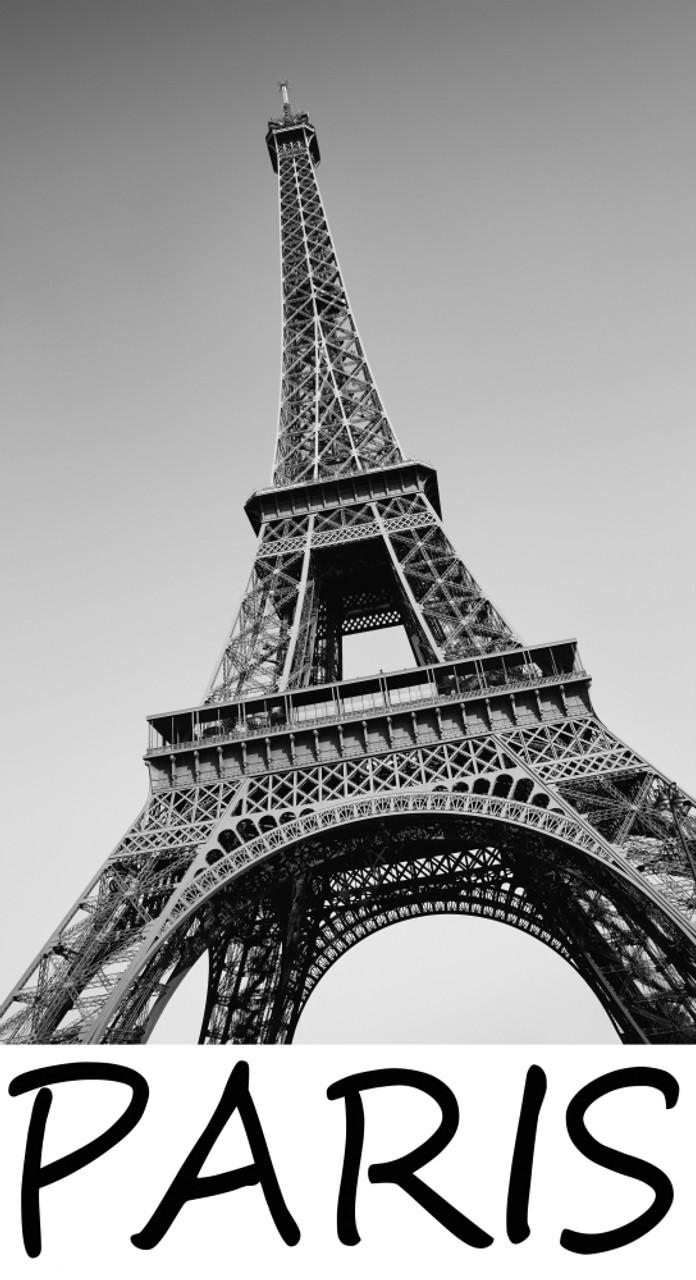 View of City and Eiffel Tower, Paris, France. Poster Print - Multi - 48 x 32