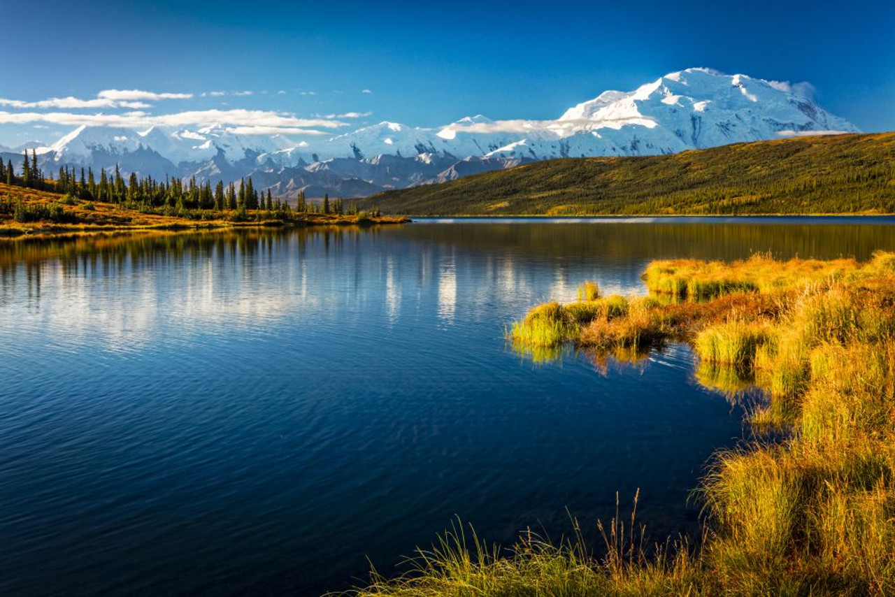 Mount Denali (McKinley) reflects on Wonder Lake under a blue sky in autumn;  Denali National Park and Preserve, Interior Alaska, Alaska, United States