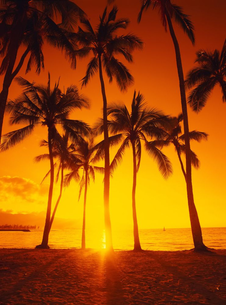 Society6 ケース Hawaii Sunset Palm Tree Sea il_fullxfull.6033246751_8mh9.jpg