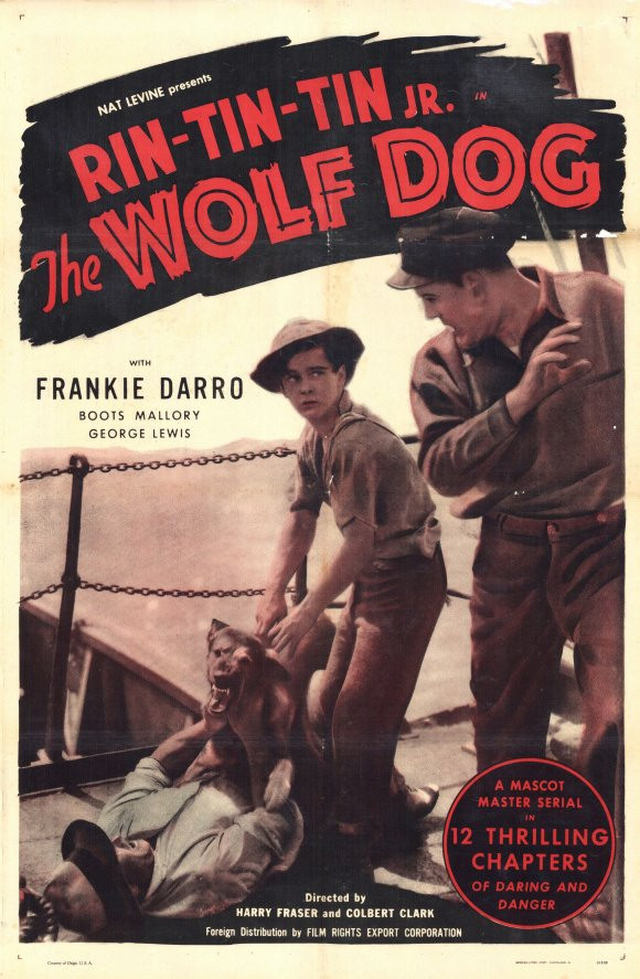 The Wolf Dog Movie Poster Print (11 x 17) Item MOVCD0916