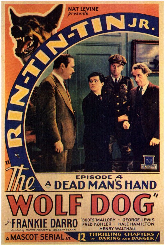 The Wolf Dog Movie Poster Print (27 x 40) Item MOVCF5359