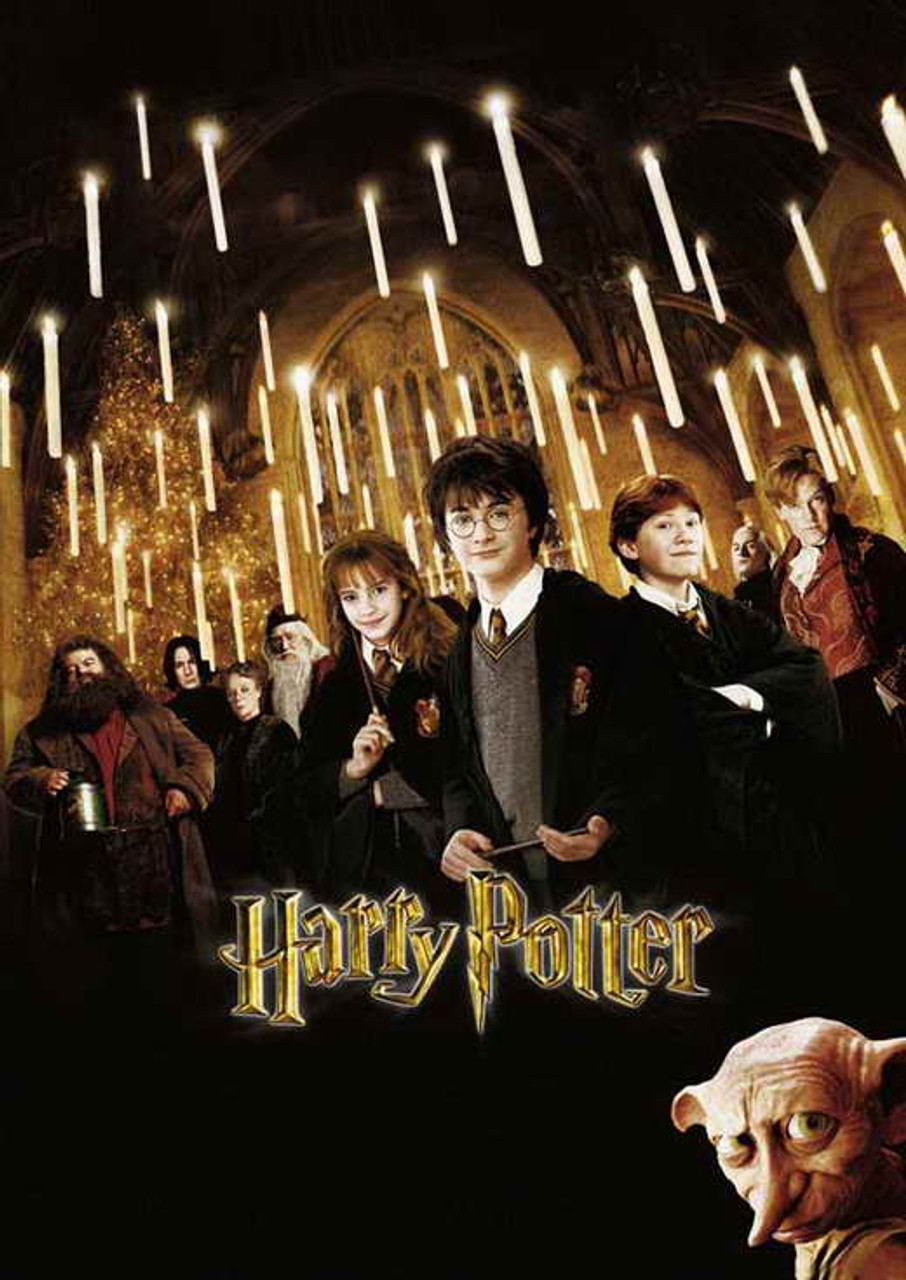 Harry Potter and the Chamber of Secrets Movie Poster Print (11 x 17) - Item  # MOVIJ5534