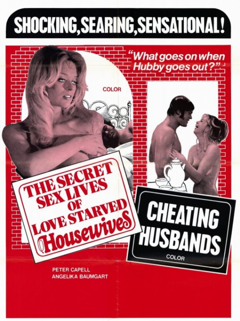 The Secret Sex Lives of Love Starved Housewives Movie Poster Print (11 x 17) - Item # MOVGE0133