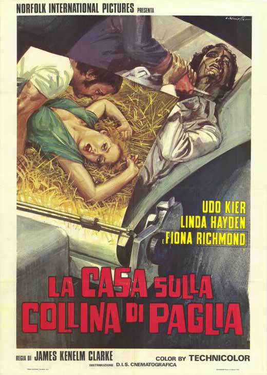 The House on Straw Hill Movie Poster Print (27 x 40) Item MOVCH3572