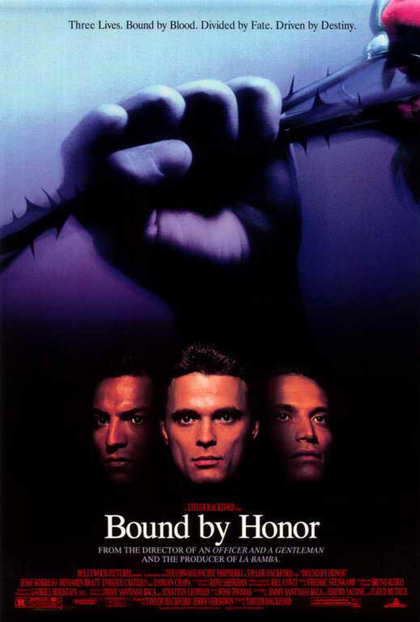 ブラッド・イン　ブラックアウト DVD ブラッド・イン ブラックアウト DVD Amazon.co.jp: The Blackout