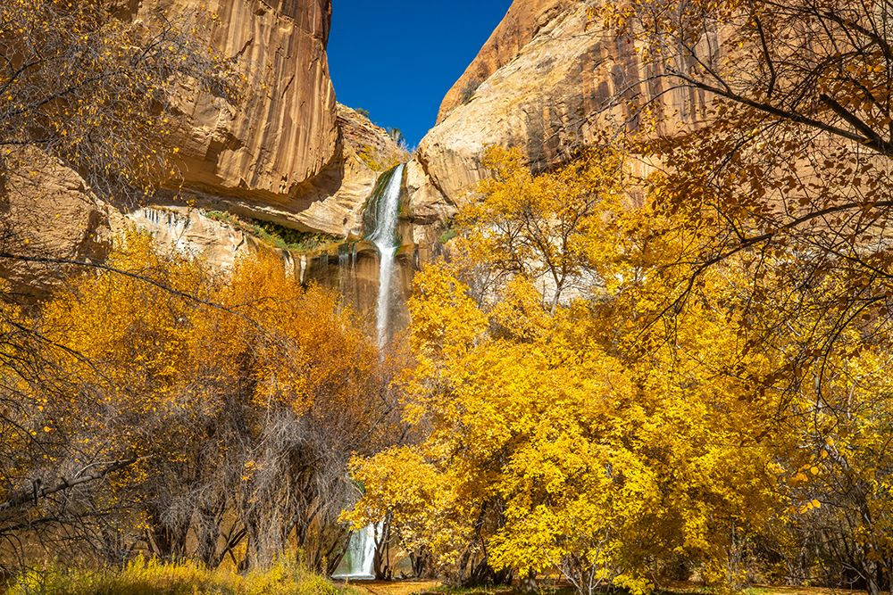 USA- Utah- Grand Staircase Escalante National Landscape