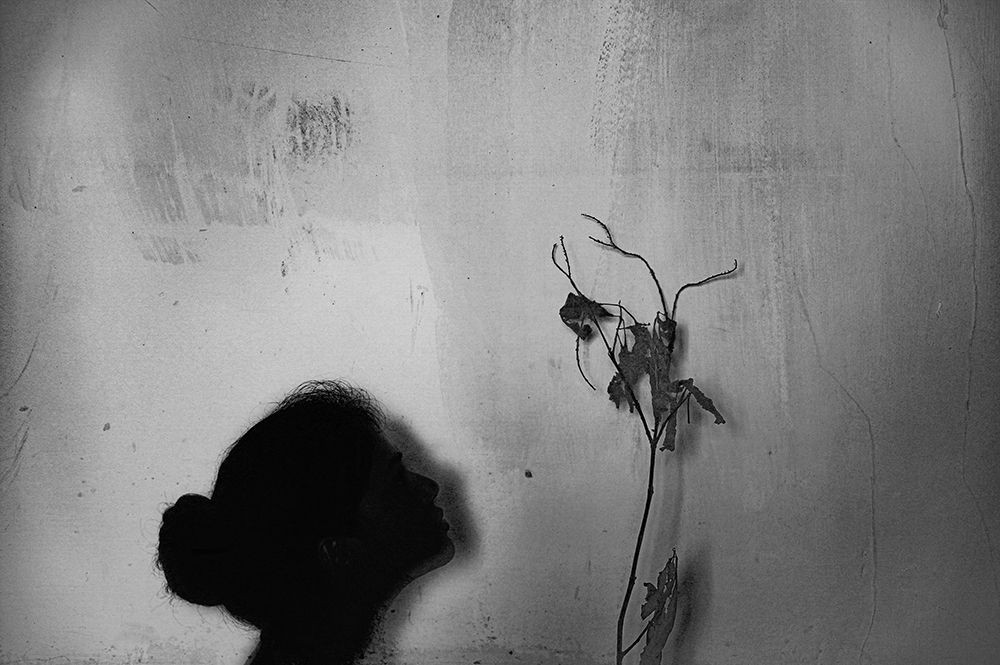 Growing on me Poster Print Mona Singh Posterazzi