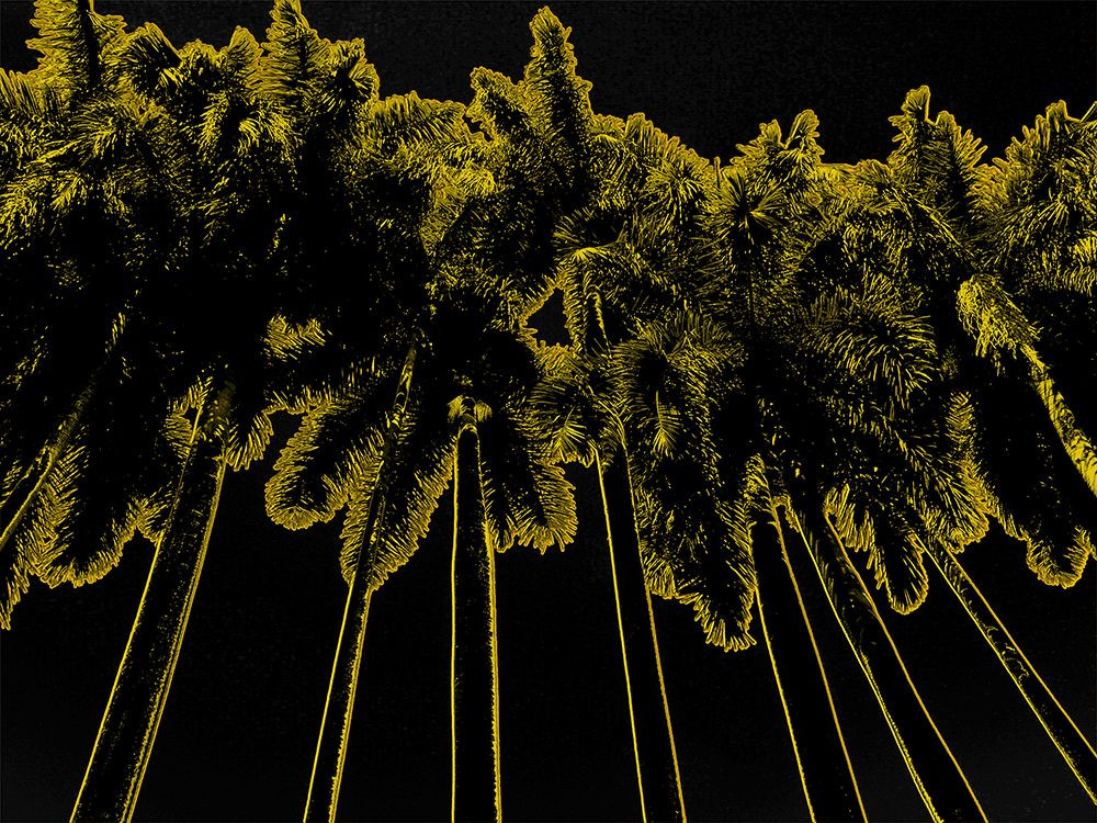 Infared Tree 4 Poster Print - ArtLab GI - Posterazzi