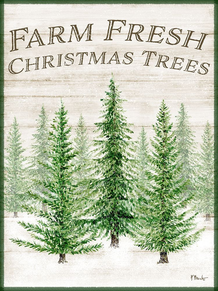 Farm Fresh Christmas Trees Vertical Poster Print Paul Brent Posterazzi