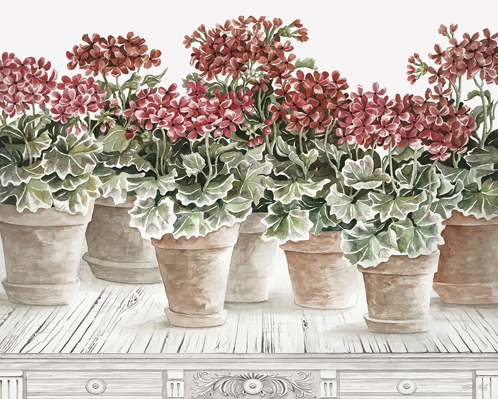 Potted Geranium Mix III Poster Print - Cindy Jacobs # VARPDXCIN2891 ...