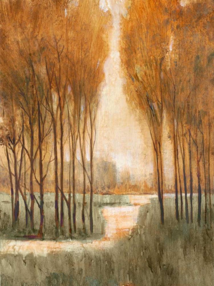 Vivid Birch Forest Il By Tim Otoole - Mirror Framed Print Wall Art - Orange