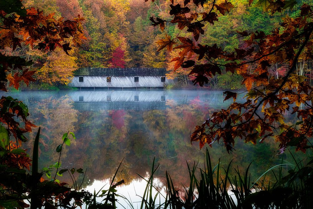 Woodland Lake House Poster Print Andy Amos Posterazzi