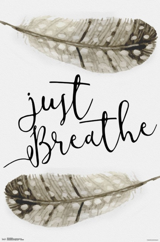 Just Breathe Poster Poster Print - Item # VARTIARP15033 - Posterazzi
