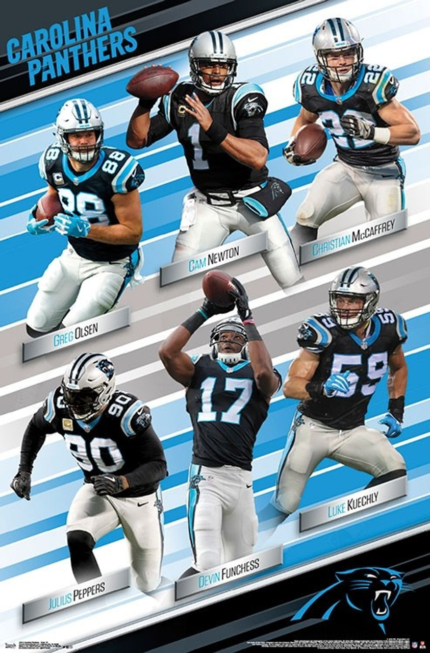 Carolina Panthers - Team Poster Print - Item # VARTIARP17013 - Posterazzi carolina-panthers-team-poster-print-item-vartiarp17013-posterazzi