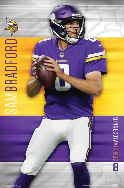 vikings poster nfl
