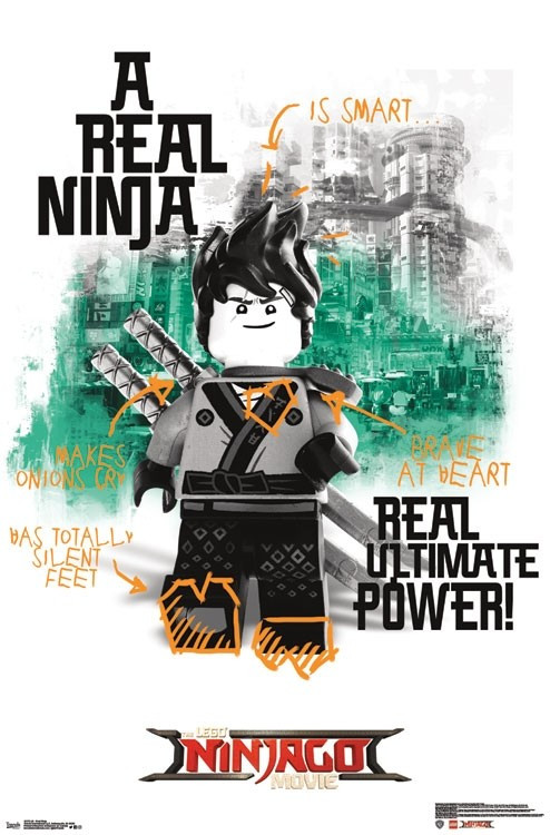 Lego Ninjago - Real Ninja Poster Print - Item # VARTIARP15176