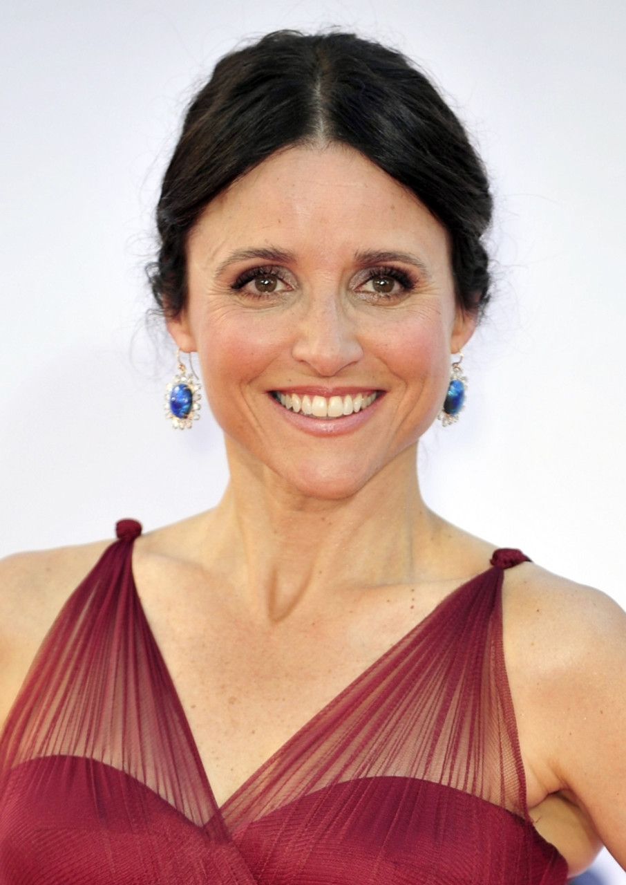 Portrait of Julia Louis Dreyfus Original Work on Paper 