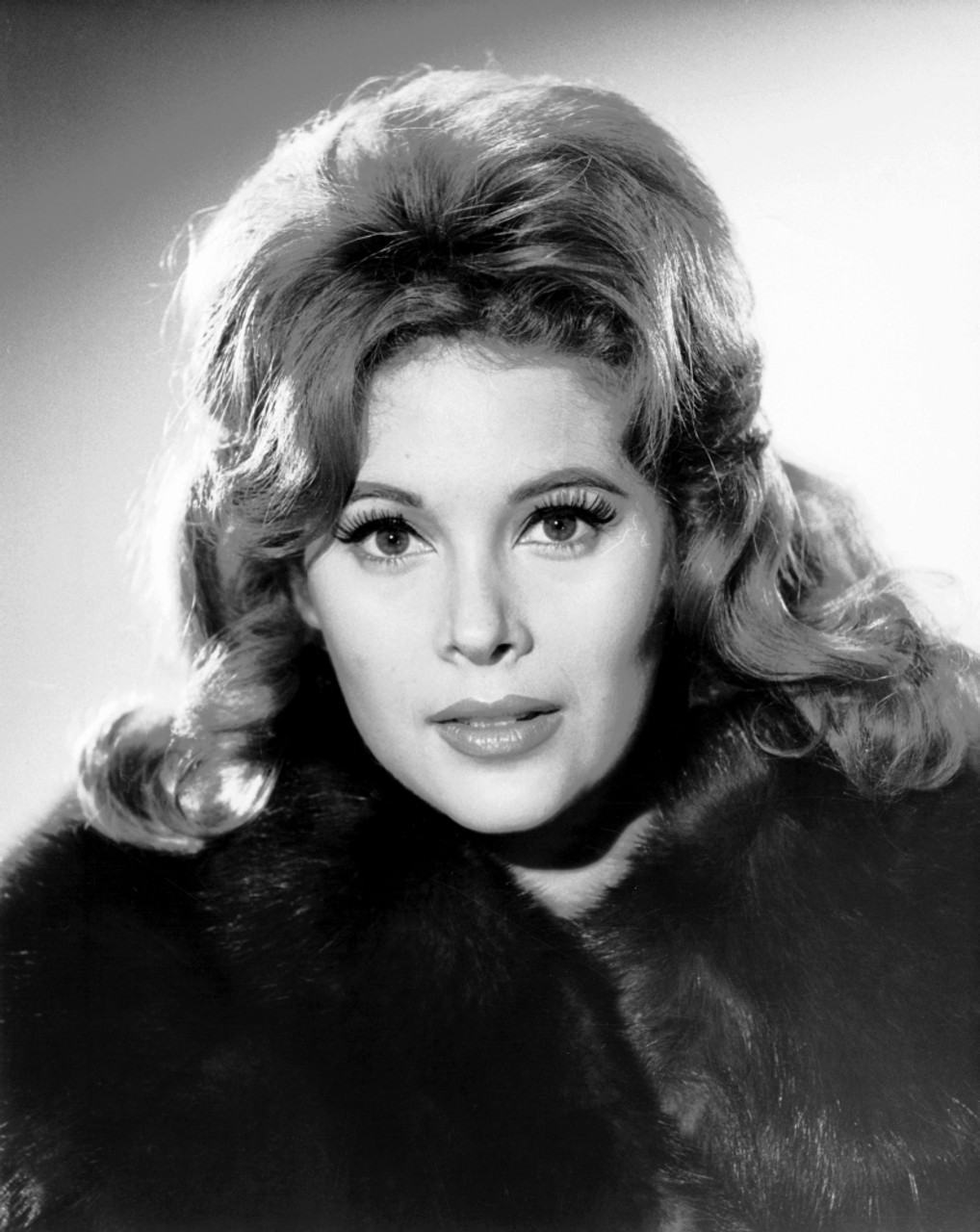 Jill St. John Ca. Mid1960S Photo Print Item VAREVCPBDJISTEC011H