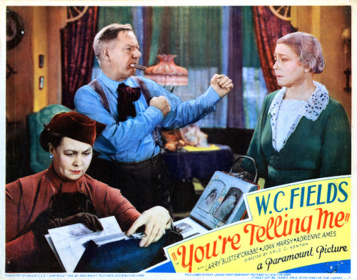 You'Re Telling Me Movie Poster Masterprint - Item # VAREVCMCDYOTEEC002
