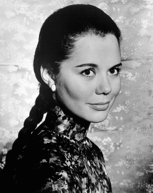 The Quiet American Giorgia Moll 1958 Photo Print - Item # VAREVCMBDQUAMEC013H