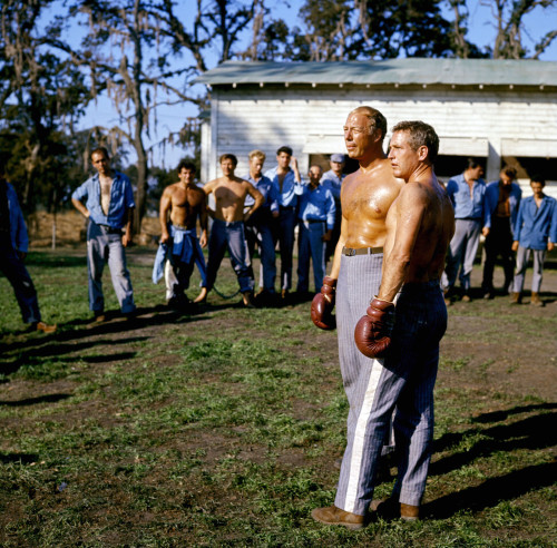 Cool Hand Luke Photo Print - Item # VAREVCMCDCOHAEC010