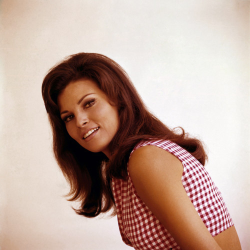 Raquel Welch 1960S Photo Print - Item # VAREVCP2DRAWEEC009H