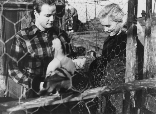 On The Waterfront Photo Print - Item # VAREVCMBDONTHEC280