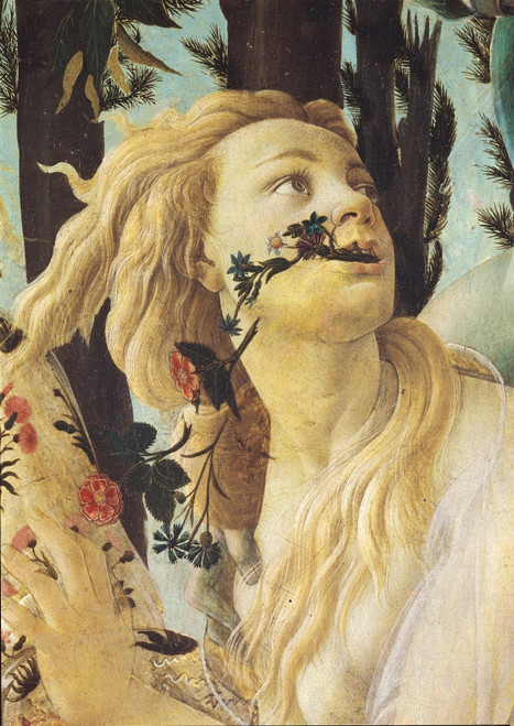 Primavera Poster Print - Item # VAREVCMOND025VJ317H