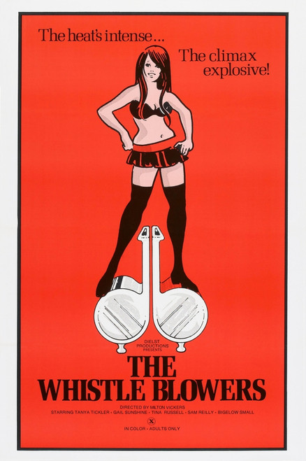 The Whistle Blowers Us Poster 1973 Movie Poster Masterprint - Item # VAREVCMCDTHWHEC024H