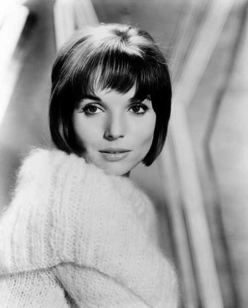 Elsa Martinelli 1962 Photo Print - Item # VAREVCPBDELMAEC014H