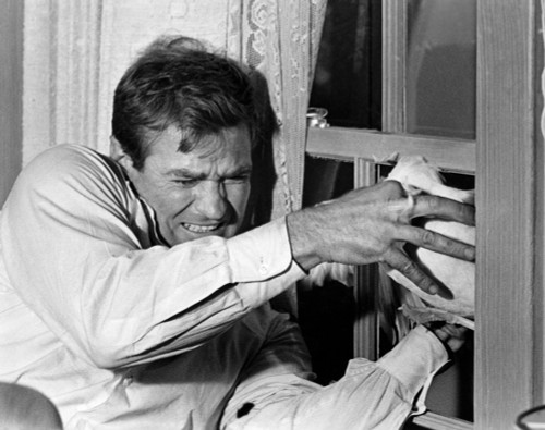 The Birds Photo Print - Item # VAREVCMBDBIRDEC030