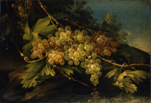 Still Life Poster Print - Item # VAREVCMOND076VJ633H